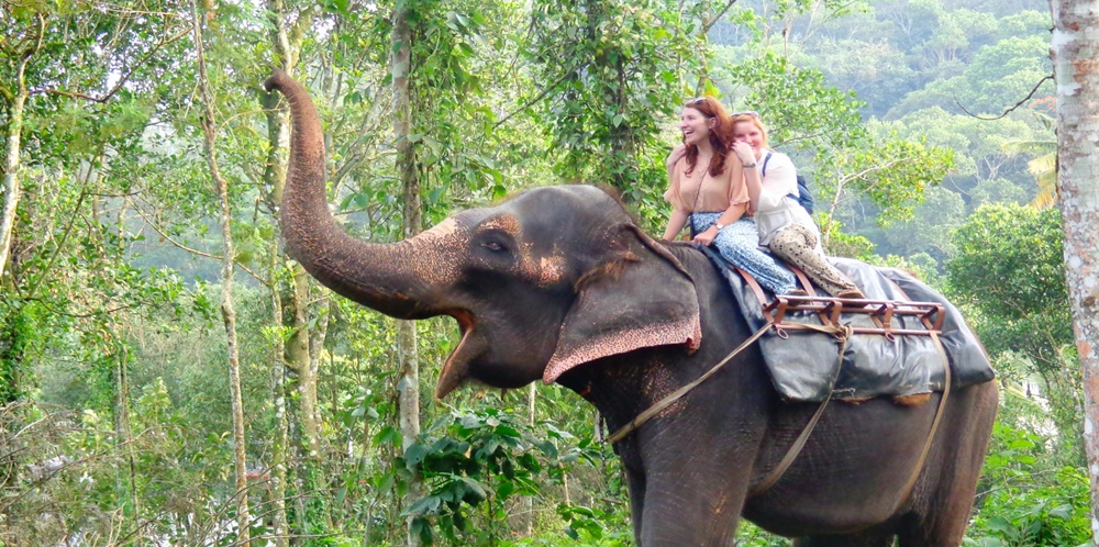 Elephant ride in Kerala
