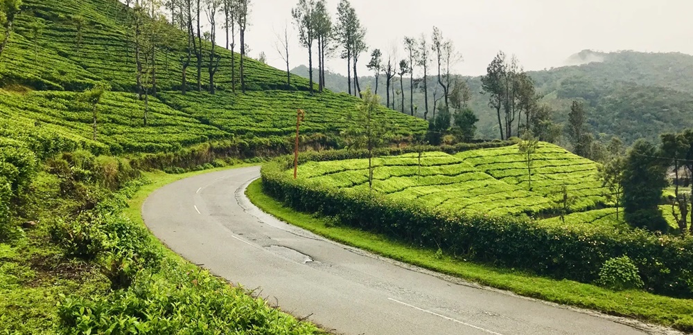 WInding road of Munnar