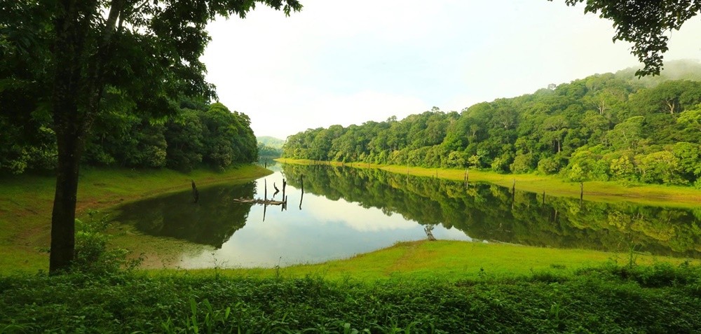 Lake in Thekkady