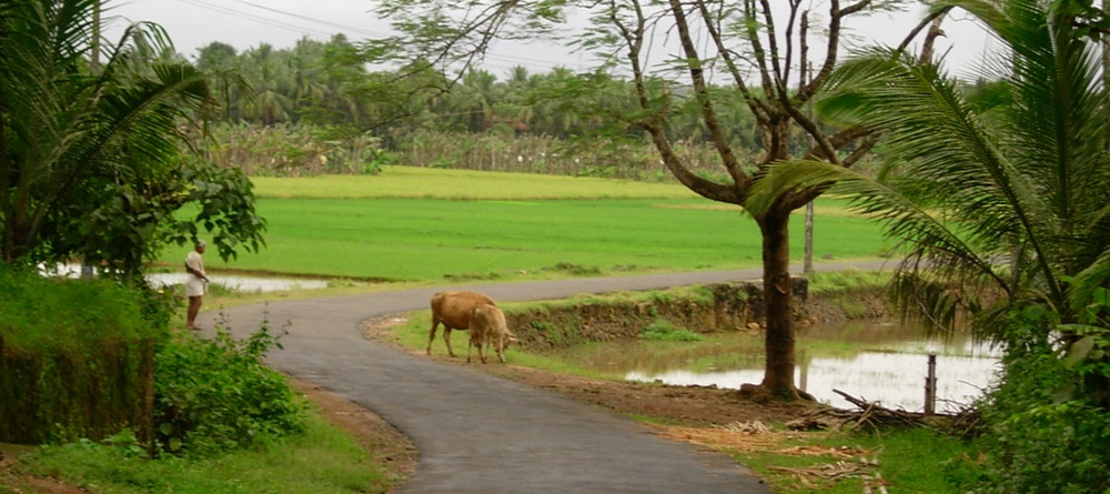 Kerala Village