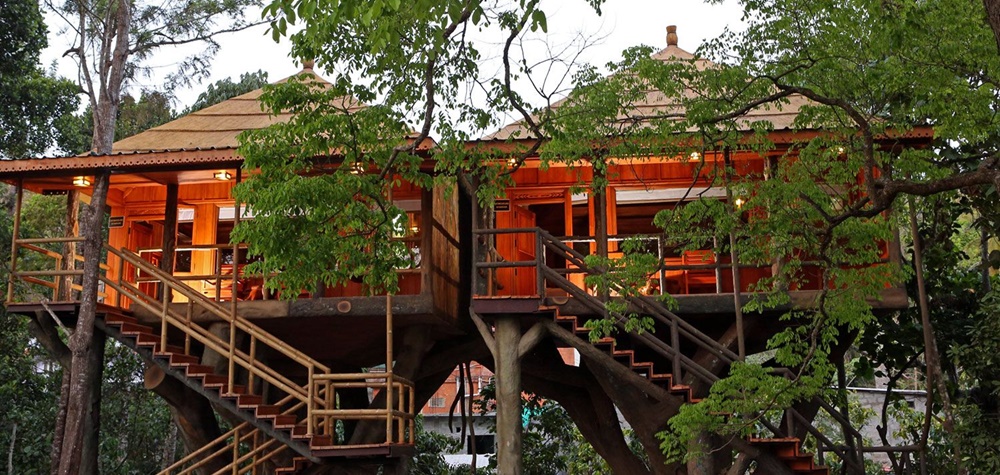 Tree houses in Kerala