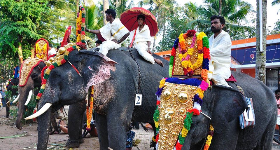 paripally-gajamela-kerala