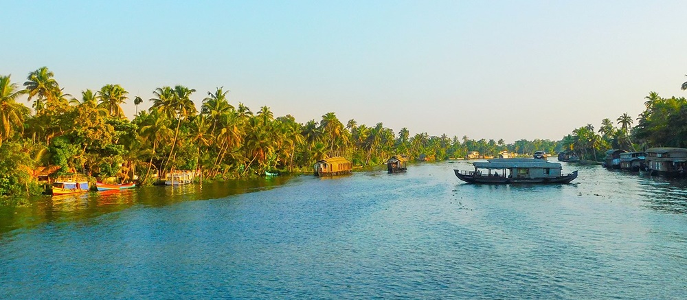 Palm-fringed shoreline 